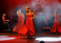 Flamenco Luxurîa