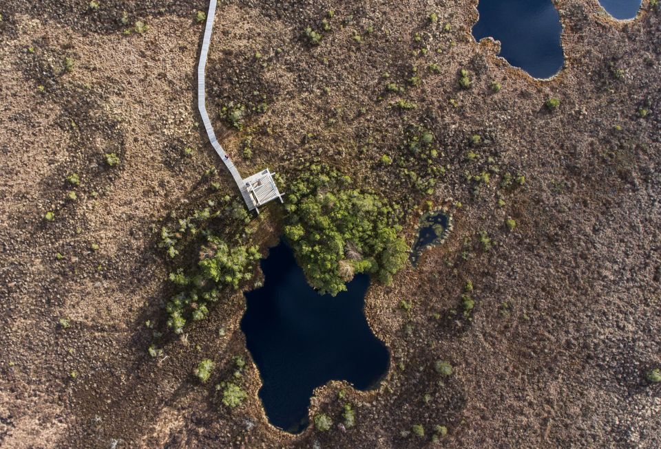 Aukštumala raised bog_Vladas Ščiavinskas_Tuk tuk, Lietuva