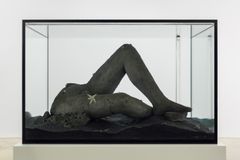 Pierre Huyghe, Abyssal Plain, 2015. InCollection commission series by Saastamoinen Foundation and EMMA – Espoo Museum of Modern Art.
Image: Zak Kelley, courtesy of artist / Hauser & Wirth, London © Pierre Huyghe.