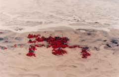Ana Mendieta: Silueta Works in Mexico, 1973-1977/ Photo: HAM / Hanna Kukorelli