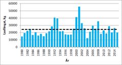 Uppskattning av fisketuristernas laxfångst (kg) på finska sidan vid Tana och Enare älvar (kg) åren 1980–2015. Med streckad linje visas den genomsnittliga fångsten åren 1980–2014. Källa: Naturresursinstitutet (Luke).