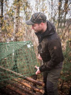 Merkittävä osa Suomen supikoirasaaliista saadaan elävänä pyytävillä loukuilla. Projektipäällikkö Kari Karhula esittelemässä Kanu-mallisen loukun toimintaa. Kuva: Ville Kankare