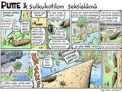 Sulkukotilot tarvitsevat elinympäristöönsä sopivien lehtipuiden jatkumon. (© Seppo Leinonen)