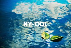Uusi yhtiö, NY-ODL Oy, on jatkossa yksi Suomen suurimmista kotimaisesti omistetuista sosiaalialan yrityksistä.
