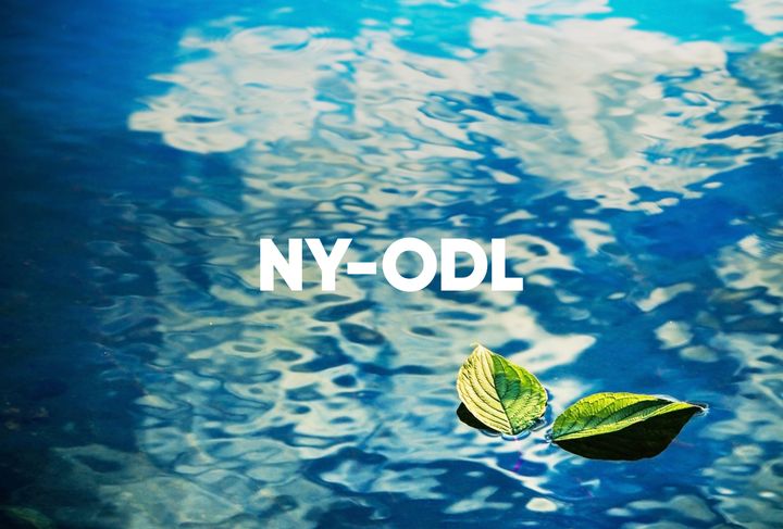 Uusi yhtiö, NY-ODL Oy, on jatkossa yksi Suomen suurimmista kotimaisesti omistetuista sosiaalialan yrityksistä.