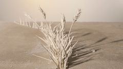 Katie Spragg: The Wilds of 5 Lely Court, 2016. (Katukiveyksen erämaa). Still.
Pysäytyskuva-animaatio / Stopframe animation.