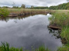 Det finns kvar några öppna vattenområden på området. Bild: Aki Janatuinen