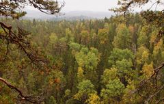 Etelä-Konneveden kansallispuisto © Kimmo Syrjänen