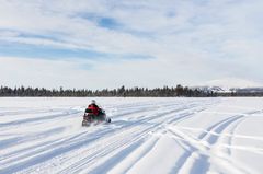 Kelkkasafareiden turvallisuuden parantamiseksi safariyrittäjiä opastetaan perehdyttämään asiakkaat huolellisesti ja huomioimaan heidän taitotasonsa retken suunnittelussa. Kuva: Janne Skinnarla, Mostphotos.