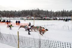 Räjähtävä lähtö, parhaimmillaan kuumassa sarjassa mennään yli 45km/h vauhtia.