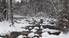 Vuojakoski Kangasniemellä. Kuva: Ari Luukkonen.