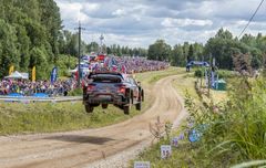 WRC Rally Estonia panostaa turvallisiin katsoja-alueisiin. Suomalaisista mukana ovat kannustavan yleisön lisäksi myös rallin maailmanmestaruudesta kamppaileva, viime kesän Viron rallin voittoa puolustava Kalle Rovanperä ja Esapekka Lappi. Kuva: Visit Estonia