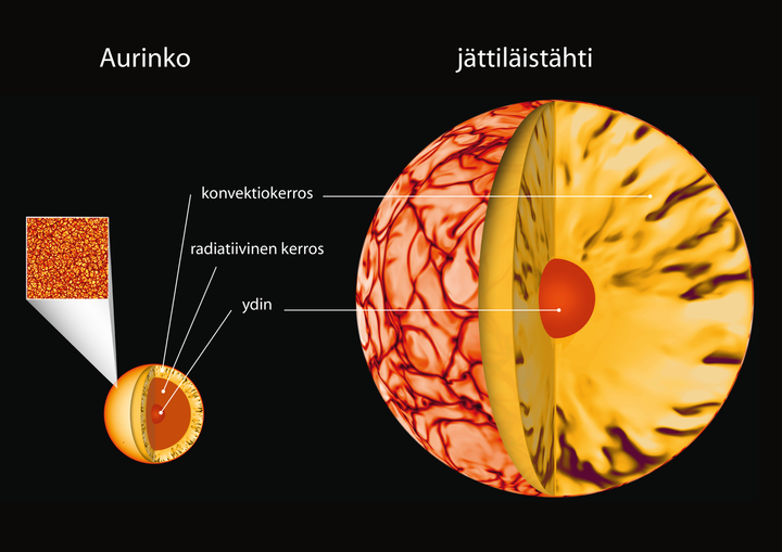 Auringon ja jättiläistähden sisärakenne ja pinnan konvektiokuvio havainnollistettuina. Vain Auringon pintarakenne voidaan nähdä suoraan, muita tutkitaan käyttämällä numeerisia malleja. Kuva: MPS/Aalto University/hormesdesign.de.