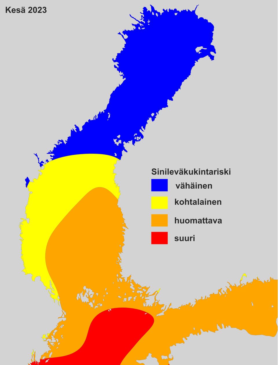 Sinileväkukintariski Itämerellä 2023. © Syke