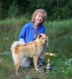 Suomenpystykorvat ovat lumonneet englantilaisen Angela Cavillin.