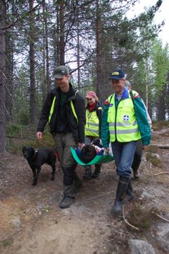 Fotograf Zihuan Zou/Röda Korset.  Esa Pekka Aho och Olavi Hautamäki bär en person som spelar skadad ut ur skogen vid efterspaningsövningen i Taivalkoski.