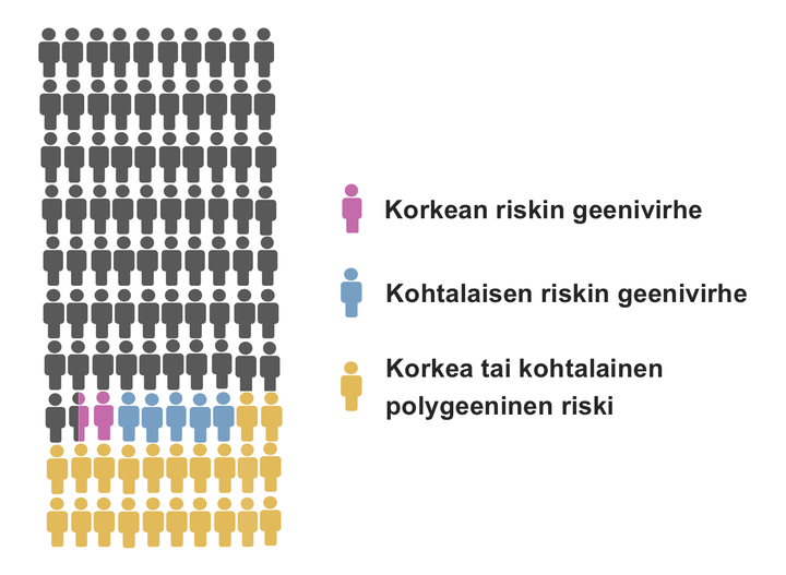 Kliinisessä käytössä olevilla geenitesteillä tunnistetaan kohtalaisen riskin geenivirheitä (kuten CHEK2-geenivirheet) ja korkean riskin geenivirheitä (kuten PALB2-, BRCA1-, ja BRCA2-geenivirheet). Korkea tai kohtalaisen korkea polygeeninen riski on kuitenkin huomattavasti yleisempi rintasyövän riskitekijä, joka johtaa vähintään yhtä suureen rintasyöpäriskiin kuin kohtalaisen riskin geenivirhe. Kuva havainnollistaa näiden geneettisten riskitekijöiden yleisyyttä sataa rintasyöpään sairastunutta kohti. Kuva: Nina Mars, Helsingin yliopisto