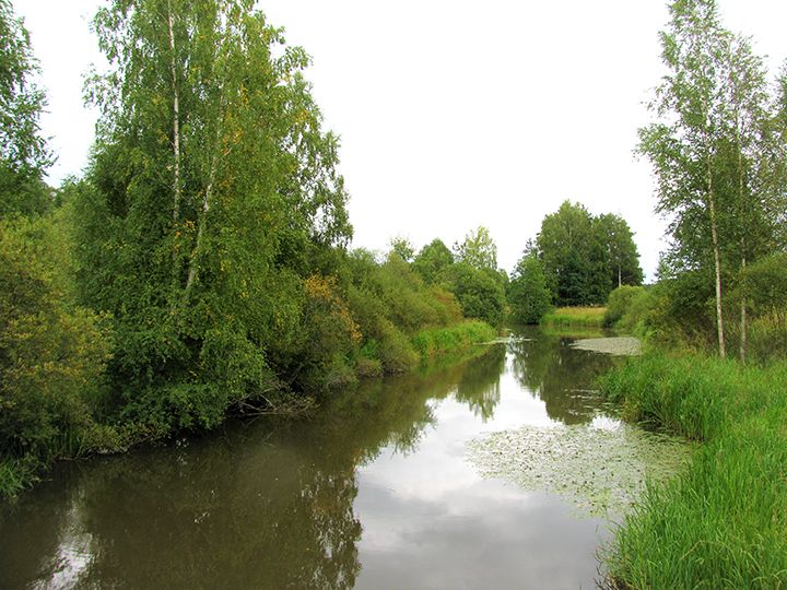 Urjalan Kortejärvi on yksi eteläisen Pirkanmaan järvistä, joiden kunnosta kaivataan asukkaiden ja käyttäjien kokemuksia. Kuva: Pirkanmaan ELY-keskus