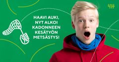 4H:n Kadonneen kesätyön metsästys -kampanja tukee nuoria, joilla ei ole vielä kesätyöpaikkaa.