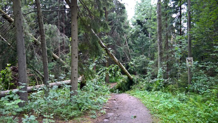 Maunulan majan kuntorata. Kuva: Helsingin kaupunki / kaupunkiympäristön toimiala