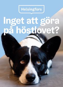Kampanjmaterial, Höstlovet i Helsingfors 2019.