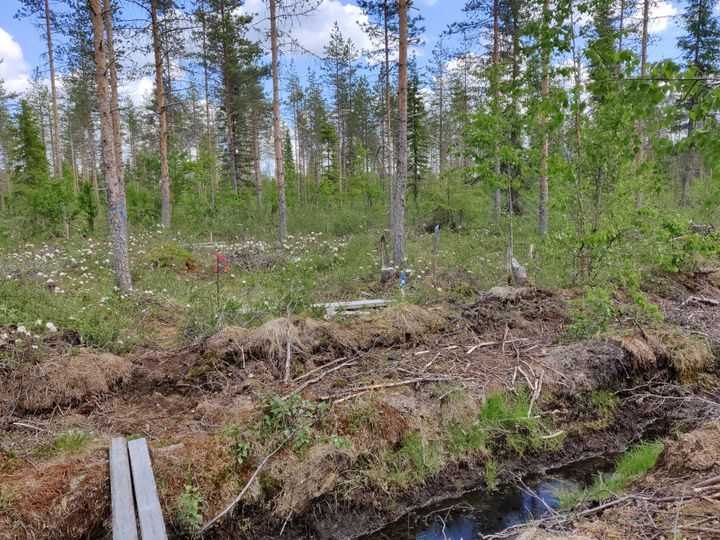 Kasvihuonekaasu- ja pohjavedenmittauspaikka Polvensuolla. Kuva: Maija Kauppila