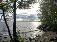 Orivesi-Pyhäselän vedenkorkeus oli elokuussa keskimääräisen korkealla. Kuva: Ilkka Elo / Pohjois-Karjalan ELY-keskus.