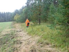 Umpeutunut niitty Kerimäellä kaipaisi puuston harventajaa ja aidan rakentajaa. Kuva: Lauri Helenius. Vapaa julkaistavaksi.