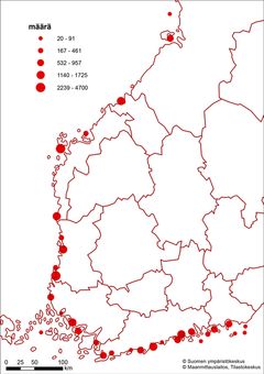 Antalet regionala storskarvsbon (st.) 2022