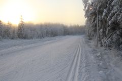 Konstsnöspåret på Öjberget. Bild: Vasa stad / Susanna Saari