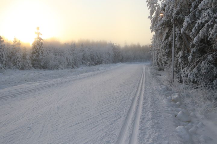 Konstsnöspåret på Öjberget. Bild: Vasa stad / Susanna Saari