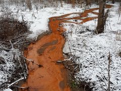 Rautapitoiseen veteen kertyvät rautabakteerit voivat värjätä ojan oranssiksi. Kuva: Anni Korhonen.