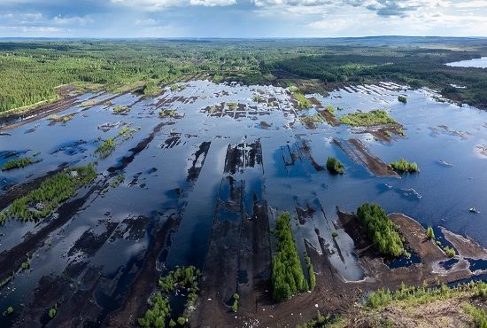 Kuva: Päijänteen Luonnonperintösäätiö PLUPS