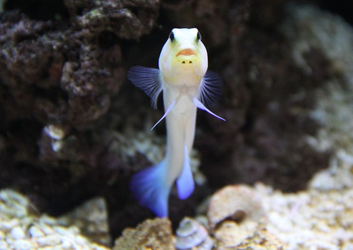 Sea Life Helsinki