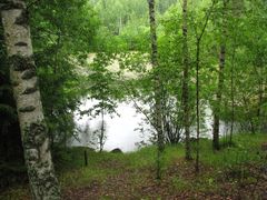 Kylmäkoski B:n pohjavesialuetta Akaassa. Kuva: Anne Lindholm