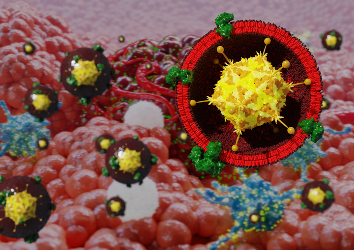 Uusia viruspohjaisia keinovaippaisia nanorokotteita syövän immuunihoitoihin. Kuva: Cerullon tutkimusryhmä