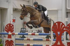 Horse Fair -messulla nähdään tasokas kansainvälinen estekilpailu. Kuva: Messukeskus.