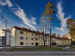 Kunniamaininnan sai suojellun entisen MTK-opiston muutos kehitysvammaisten palvelu- ja hoivakodiksi. Kuva: Mikko Piispa