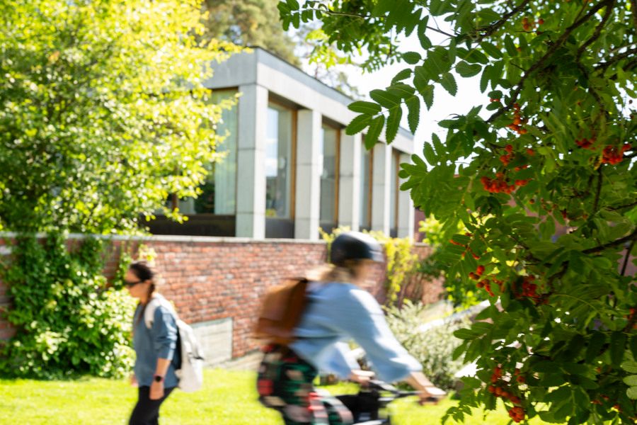 Jyväskylän yliopiston Seminaarinmäen kampus.