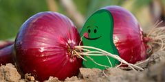 #papuposset-kilpailu kannustaa kasvisten käyttöön.