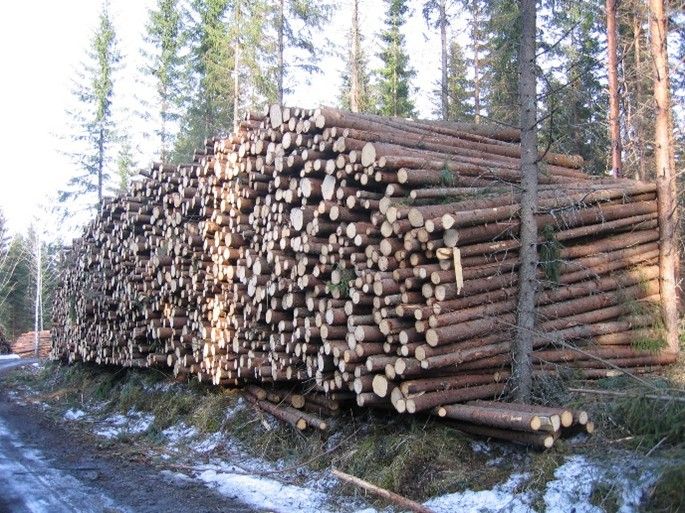 Picture1.jpg