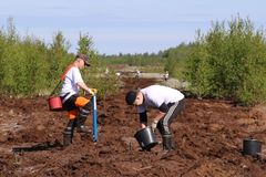 Suomen 4H-järjestön ylläpitämän Taimiteon tavoitteena on istuttaa 10 000 hehtaaria uutta metsää.