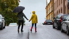 Heavy rains, lightning and thunderstorms are expected to hit the western and southern parts of Finland during Tuesday and Wednesday. Photo: DNA