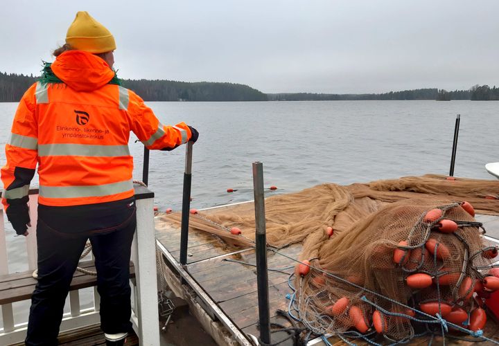 Punkalaitumen Vehkajärvi on yksi Pirkanmaan ELY-keskuksen rahoittama kunnostuskohde. Viime syksynä järvellä järjestettiin hoitokalastusta. KUVA: Salla Taskinen
