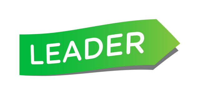 Leader_Logo_Tekstitön_RGB_Liukuväri (2).png