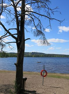 Jyväskylän Tuomiojärvi on yksi Keski-Suomen vedenottoon käytetyistä pintavesimuodostumista. Järven ekologinen tila on nykyisin hyvä, mutta se on riskissä heiketä. Kuva: Mari Nykänen