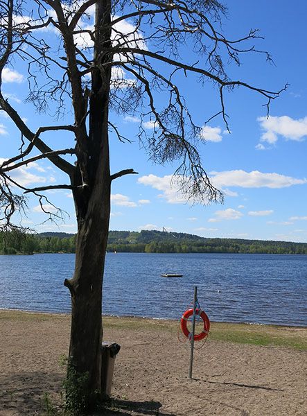 Jyväskylän Tuomiojärvi on yksi Keski-Suomen vedenottoon käytetyistä pintavesimuodostumista. Järven ekologinen tila on nykyisin hyvä, mutta se on riskissä heiketä. Kuva: Mari Nykänen
