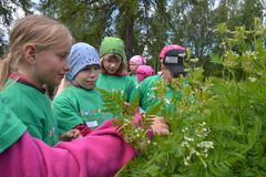 Bild: Matskolan främjar barnens kännedom om den finländska matens väg. Årets teman är fisk och grönsaker som synliggörs mångsidigt i matskolans program, matlagning och gårdsbesök.