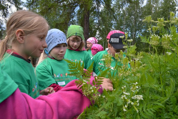 Bild: Matskolan främjar barnens kännedom om den finländska matens väg. Årets teman är fisk och grönsaker som synliggörs mångsidigt i matskolans program, matlagning och gårdsbesök.