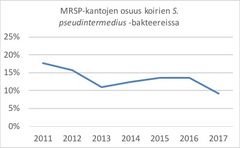 Metisilliinille resistenttien Staphylococcus pseudintermedius -kantojen osuus vuosina 2011–2017 Suomessa. Lähde: Eläinlääketieteellinen tiedekunta, Helsingin yliopisto